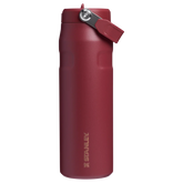 The Holiday IceFlow™ Bottle with Flip Straw Lid | 24 OZ