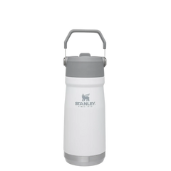 The IceFlow™ Flip Straw Water Bottle | 17 OZ