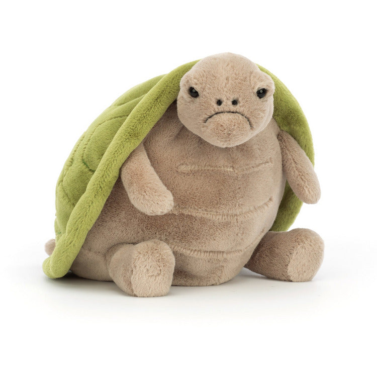 Timmy Turtle